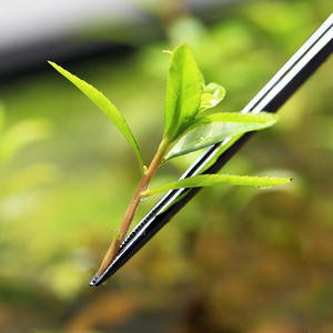 Premium 4-delige Roestvrijstalen Aquariumplant Toolkit Perfecte Aquascape-Benodigdheden Voor Het Reinigen Van Aquaria Voor Liefhebbers In De Woonkamer - Product Image 5