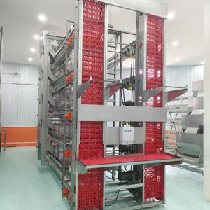 Yüksek kapasiteli h tipi tam otomatik pil tabakası kafes sistemi satılık galvanizli pilli tavuk kümes kafesi - Product Image 2