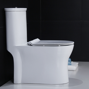 WC monobloc en céramique pour salle de bain, style Amérique latine - Product Image 3
