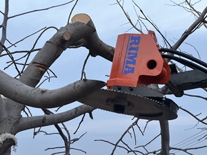 Tête de scie <span class=keywords><strong>à</strong></span> <span class=keywords><strong>bois</strong></span> WeMax SH600 pour machine <span class=keywords><strong>à</strong></span> couper les arbres, pour excavatrice de 3 <span class=keywords><strong>à</strong></span> 8 tonnes, tête de scie latérale, diamètre de coupe maximal de 180 mm - Product Image 4