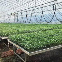 Banc de culture mobile OEM en ABS pour serres, idéal pour la culture de légumes et de semis de fleurs