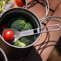 Ensemble de vaisselle en titane télescopique pliant extérieur Portable costume pour Camping pique-nique-cuillère fourchette uniquement ustensiles de cuisine en titane pur