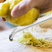 Gloway Râpe à légumes et agrumes avec manche en acier inoxydable pour la cuisine, déchiqueteuse de fromage et zesteuse de citron pour l'ail et les noix