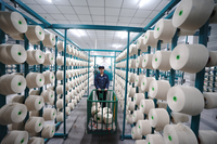 12s 16s 20s 30s 40s 100% Polyester High Tenacity Bleached Yarn for Sewing Knitting Weaving