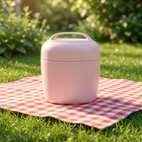 PINKAH Grande boîte alimentaire isotherme en acier inoxydable à double paroi de 980 ml avec cuillère et poignée