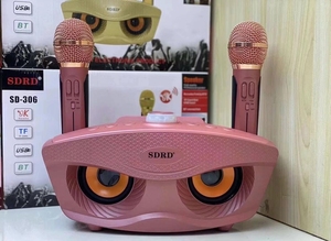 SD306 20W Bass Sound Family KTV 2 en 1 Karaoke portátil <span class=keywords><strong>BT</strong></span> Altavoz inalámbrico con micrófono de mano dual Altavoz de búho - Product Image 5