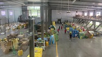 Bieden China Vers Fruit Peer En Appel Ya Perentuin Met Goede Kwaliteit En Lage Prijs Van Verse Peer