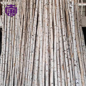 Luces LED de Resina Transparente Impermeables IP65, Compuesto de Fibra de Vidrio, Árbol de Abedul Luminoso de 1/2/3/4 m, para Navidad y Halloween - Product Image 5