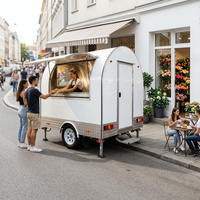 Camion de restauration mobile de 6,5 pieds, chariot alimentaire, remorque alimentaire, bar mobile en acier inoxydable pour crème glacée, pizza, café, snacks, boulangerie, desserts, bière