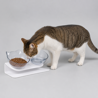 Mangeoire double inclinée pour chat, bols transparents en forme d'oreilles de chat sur support monobloc en plastique ABS pour chats