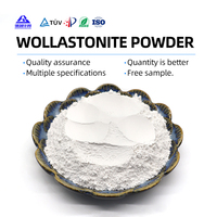 Poudre de Wollastonite pour Matière Première de Glaçure Céramique Faible Teneur en Fer Haute Blancheur Céramique Lisse pour Carrelage