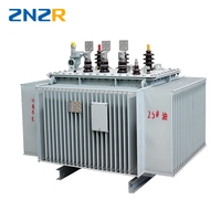 Transformadores de Distribución Trifásicos ZNZR de 30 kVA, 60 kVA, 100 kVA, 300 kVA, 630 kVA, 1000 kVA, 2 MVA, 11 kV a 110 V, Sumergidos en Aceite