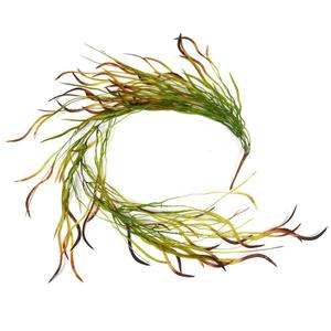 Pianta Artificiale in Vaso, Foglie a Lama, Erba, Salice, Succulente Autunnali, Bastoncini di Rattan, per Esterni, in Plastica, Forniture <span class=keywords><strong>da</strong></span> Giardino, Basso MOQ, per Matrimoni - Product Image 6