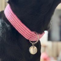 Ensemble collier et laisse pour chien en tissu tricoté OEM, rembourré et doux, kit de promenade pour animaux de compagnie, collier réglable avec mousqueton métallique pour usage quotidien