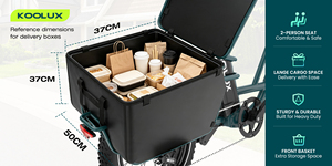 Vélo cargo électrique KOOLUX avec moyeu arrière en acier, pneu large de 20 pouces, assistance au pédalage, moteur brushless 250W, stock UE, livraison multilingue pour entreprises - Product Image 3