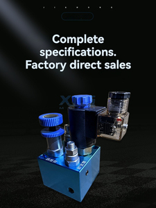 Группа купить рекламные 50 л/мин 25 мПа подъемные гидравлические электромагнитные клапаны для автомобилей - Product Image 5