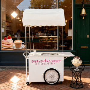 Custom Electric Ice Cream Fast Food Push Vending Fiberglass Freezer Mobile Italian Gelato Trolley Cart 36V Lithium Battery - Product Image 1