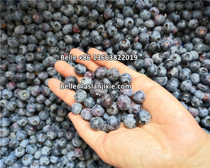 ماكينة تصنيف عنبية زرقاء 2 + 1 ، ماكينة تصنيف حزام عنبية زرقاء ، ماكينة تصنيف عنبية زرقاء - Product Image 6