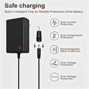 Chargeur d'alimentation 25,2 V 1 A pour batterie au lithium 24 V Fitpulse TOLOCO Fusion Kamu Opove Legiral Hypervolt Taotronics Bobbito Hardne - Product Image 6