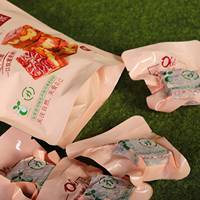 Groothandel Custom Logo Biologisch Afbreekbaar Stand Etui Vacuüm Snack Mango Gedroogd Fruit Droog Voedsel Verpakking Zak