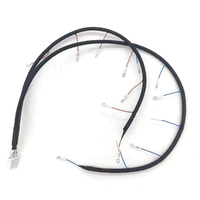 Câble de Faisceau de Câblage EV en Cuivre Plaqué Argent, Assemblage Direct Usine LA-113566 pour Voiture Électrique à Énergie Nouvelle