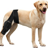 Attelle de genou réglable pour chien OEM – Soutien articulaire, protection et récupération pour les membres – Orthèse pour l'ACL
