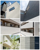Revêtement extérieur en panneaux de fibrociment à rainures et languettes pour la rénovation de villas, design européen, imperméable et ignifuge