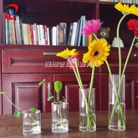 Klare runde Acryl rohrbox anpassen Form größe Lucite Box Kreis Kunststoff Aufbewahrung vitrine
