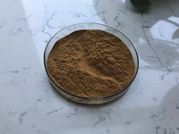 Distributeur directe de Maca, racine en extracteur