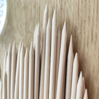 100 brochettes jetables en bambou écologiques de 30 cm, bâtonnets de grillade multifonctionnels et biodégradables, personnalisables
