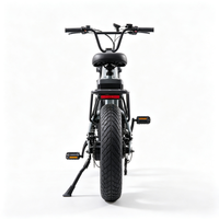 Vélo électrique rétro à gros pneus 48V avec écran LCD