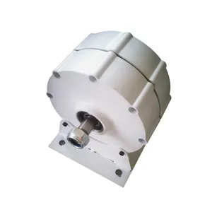 100w 12V Ndfeb PMG permanent magnet generator for horizontal axis wind turbine with low start torque double shaft with base