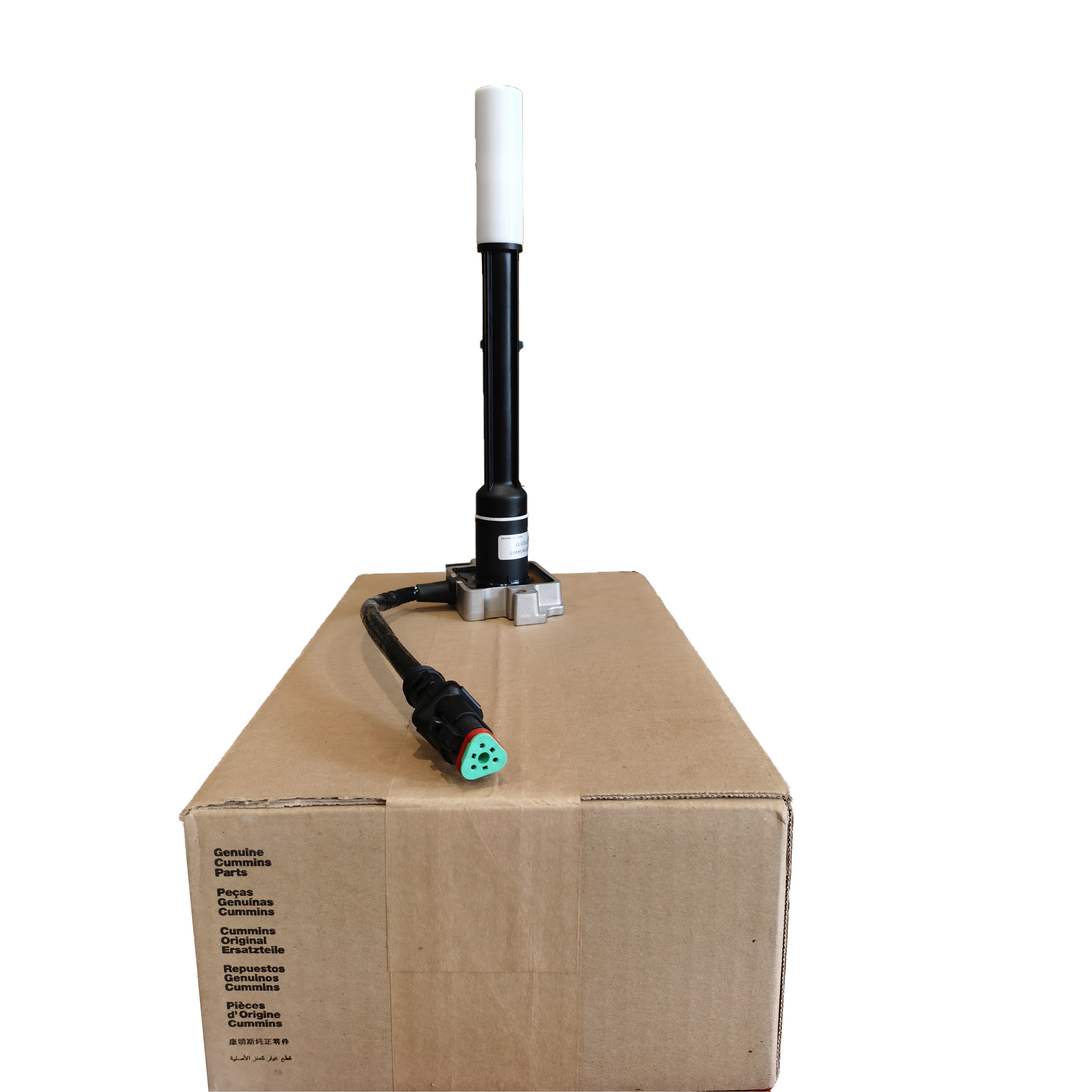 ジーコ ccf013s_mai.jpg