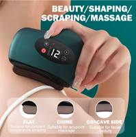 Planche de massage intelligente pour le visage et le corps, planche de grattage SPA, planche Guasha intelligente