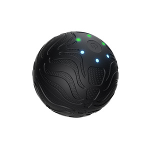 Custom Molded Vibrating Massage Ball Electric Fascia Ball Muscle Relaxation Massager Fitness Yoga Exercise Ball PM54 USB Powered - Product Image 1
