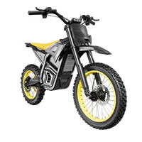 Moto tout-terrain électrique US Stock IN10 2600W à moteur central sans balais, 40 MPH, 146 Nm de couple, 48V 23AH, freins hydrauliques, IPX6
