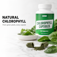 Capsules de chlorophylle en marque privée OEM, 60 unités en flacon, capsules alimentaires pour adultes, certifiées Halal, emballage personnalisé, vente en gros