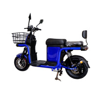 Elektroroller für Lieferdienste, Elektromotorräder, Elektromofas mit Gepäckträger