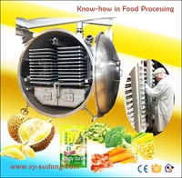2026 Xinyang CE-certificaat 75m² Fruitvriesdroogmachine