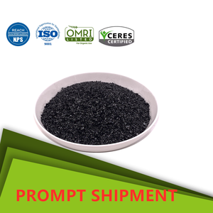 Poudre d'ail riche en poudre d'ail, agrume, <span class=keywords><strong>Composition</strong></span> d'ail - Product Image 4