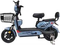 Holladay Vélo Électrique de Ville 350W 48V, Vélo Hybride avec Porte-Bagages, Trottinette Électrique à Pneus Larges pour Déplacements Urbains Adultes