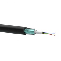 Câble à fibre optique blindé extérieur CST, fourni par l'usine, 2, 4, 6, 8, 12, 24 fibres, monomode, 2 km, 4 km