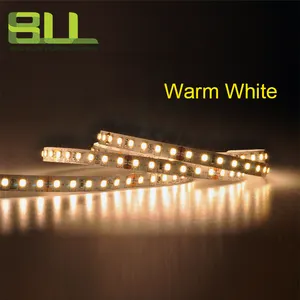 3 năm Bảo hành SMD 2835 LED Strip ánh sáng 120 LED CE ROHS ul 1800K-10000K LED Strip ánh sáng 12V 24V LED Strip ánh sáng