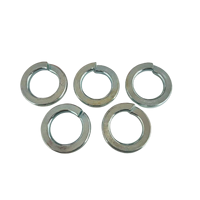 DIN127 Spring Washers Black Finish Made in China High Quality