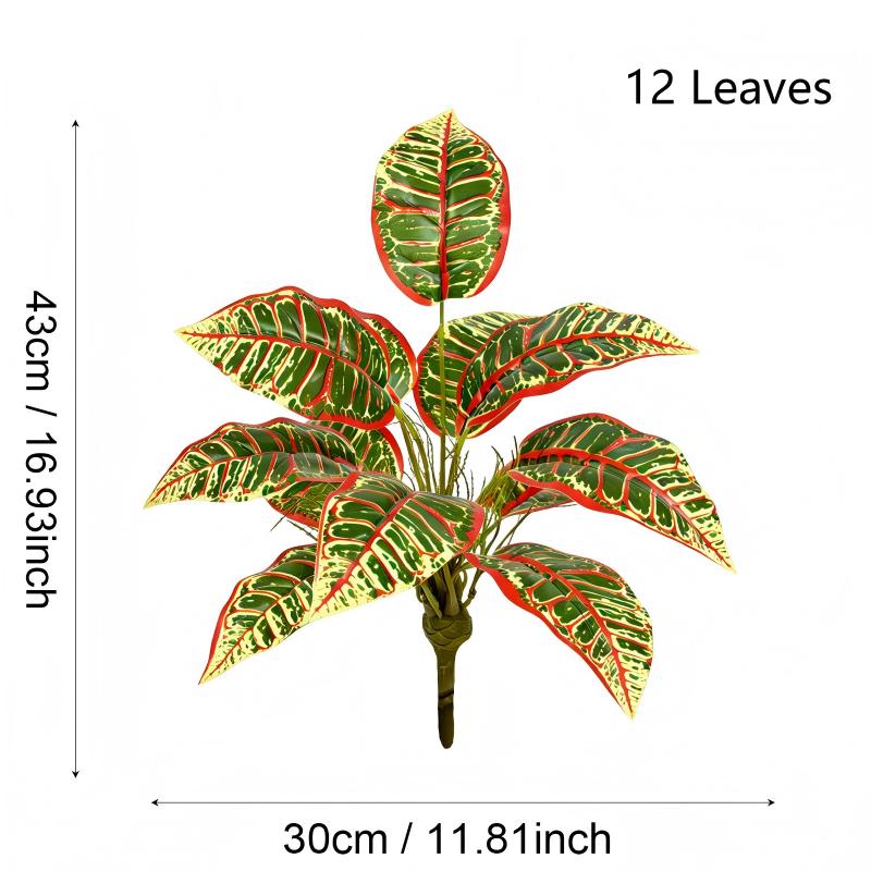 ใบไม้สีเขียว 12 ใบ พร้อมราก