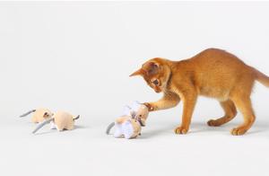Nuevo Estilo Sostenible <span class=keywords><strong>Catnip</strong></span> gato juguete interactivo algodón peluche ratón juguete para gatos - Product Image 4