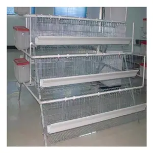 Automatic system 128 birds capacity 4 layers poultry chicken feeding cages farm