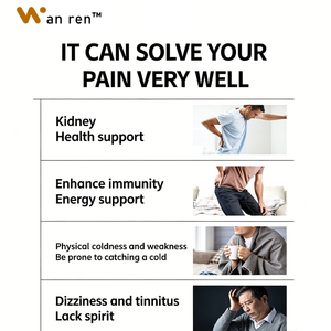 Suplemento de Salud OEM, Cápsulas Naturales de Extracto de Raíz de Dodder para Mejorar la Energía, el Sistema Inmunológico y el Equilibrio Renal en Hombres Adultos - Product Image 3