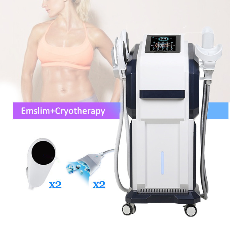 2024 Cryolipolyse Cavitation Fat Removal Body