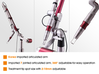 Machine de suppression de tatouages au laser Nd Yag, élimination des pigments, blanchiment au laser picoseconde à vendre